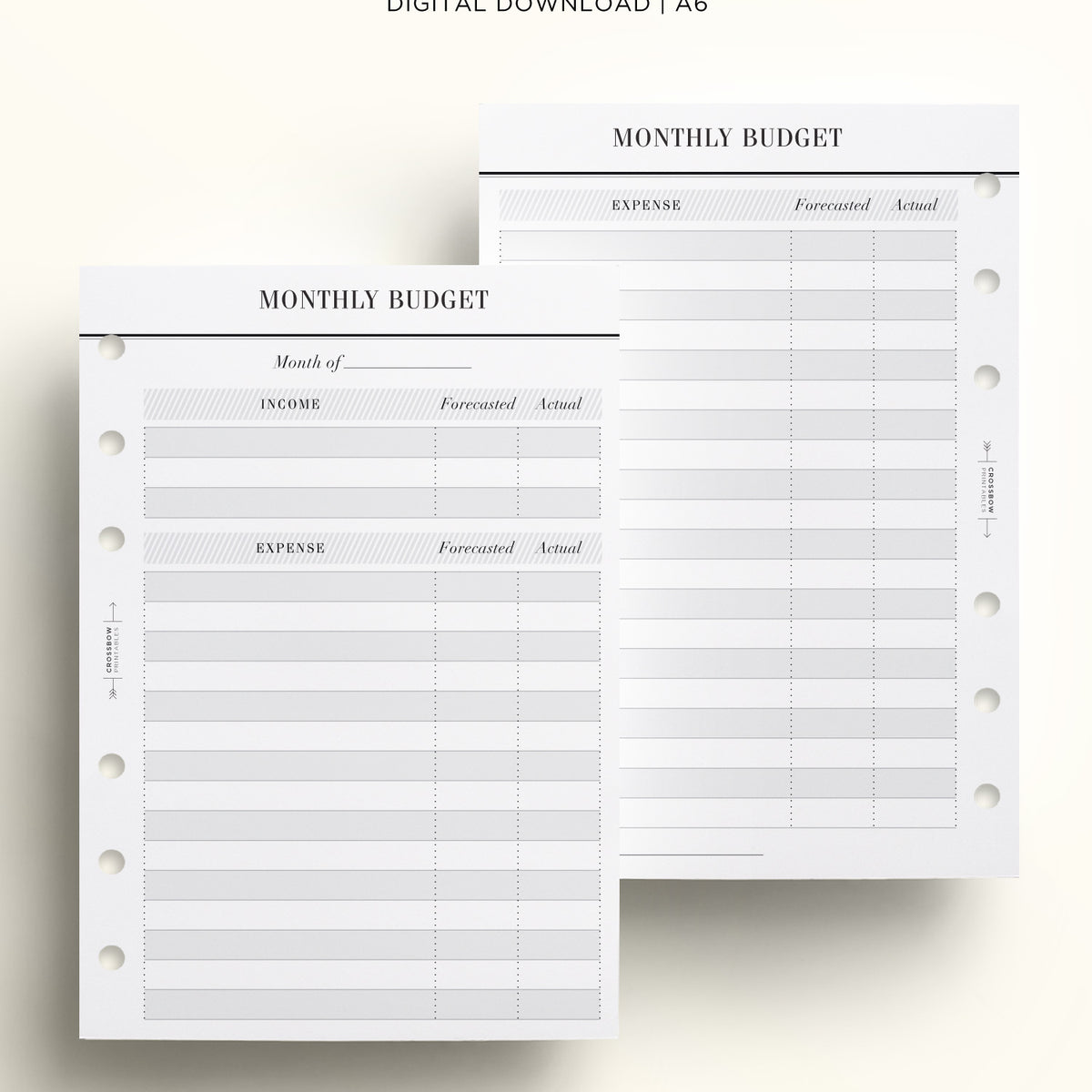 A6 Inserts : Budget Planner, Budget Tracker, Budget Printable, Budget  Template, Monthly Budget, Financial Planner, Monthly Expense Tracker 