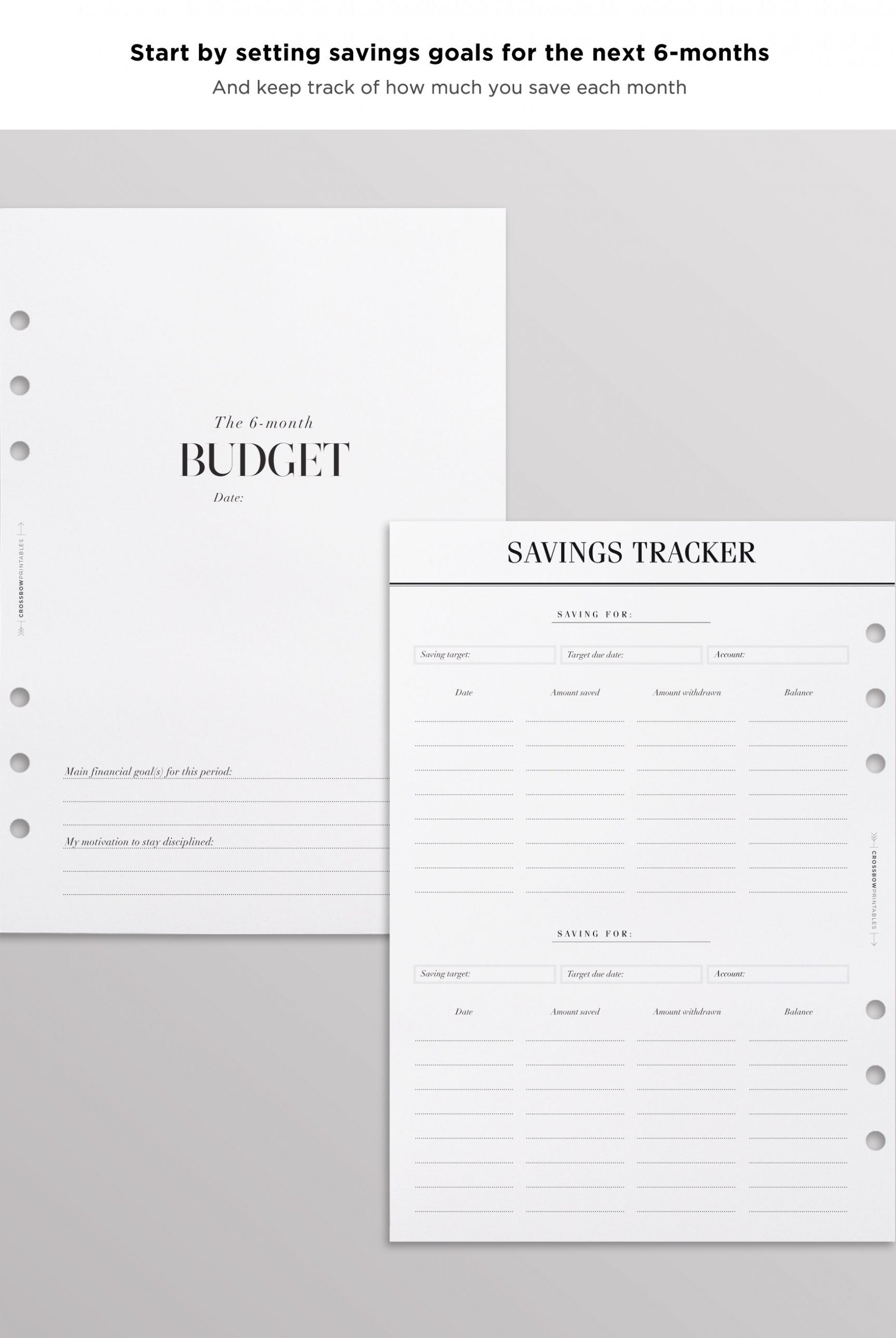 budget planner inserts