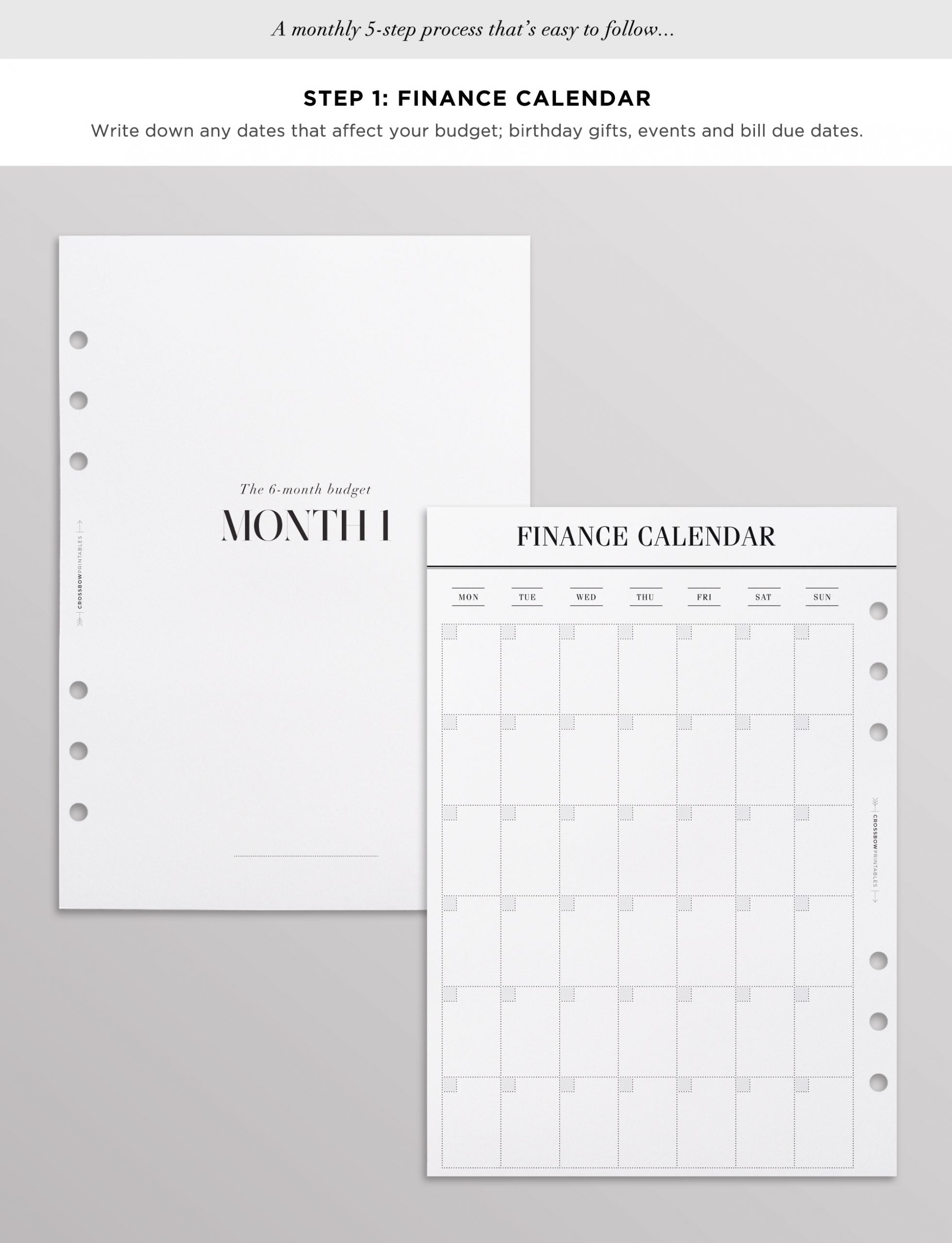 budget planner insert set