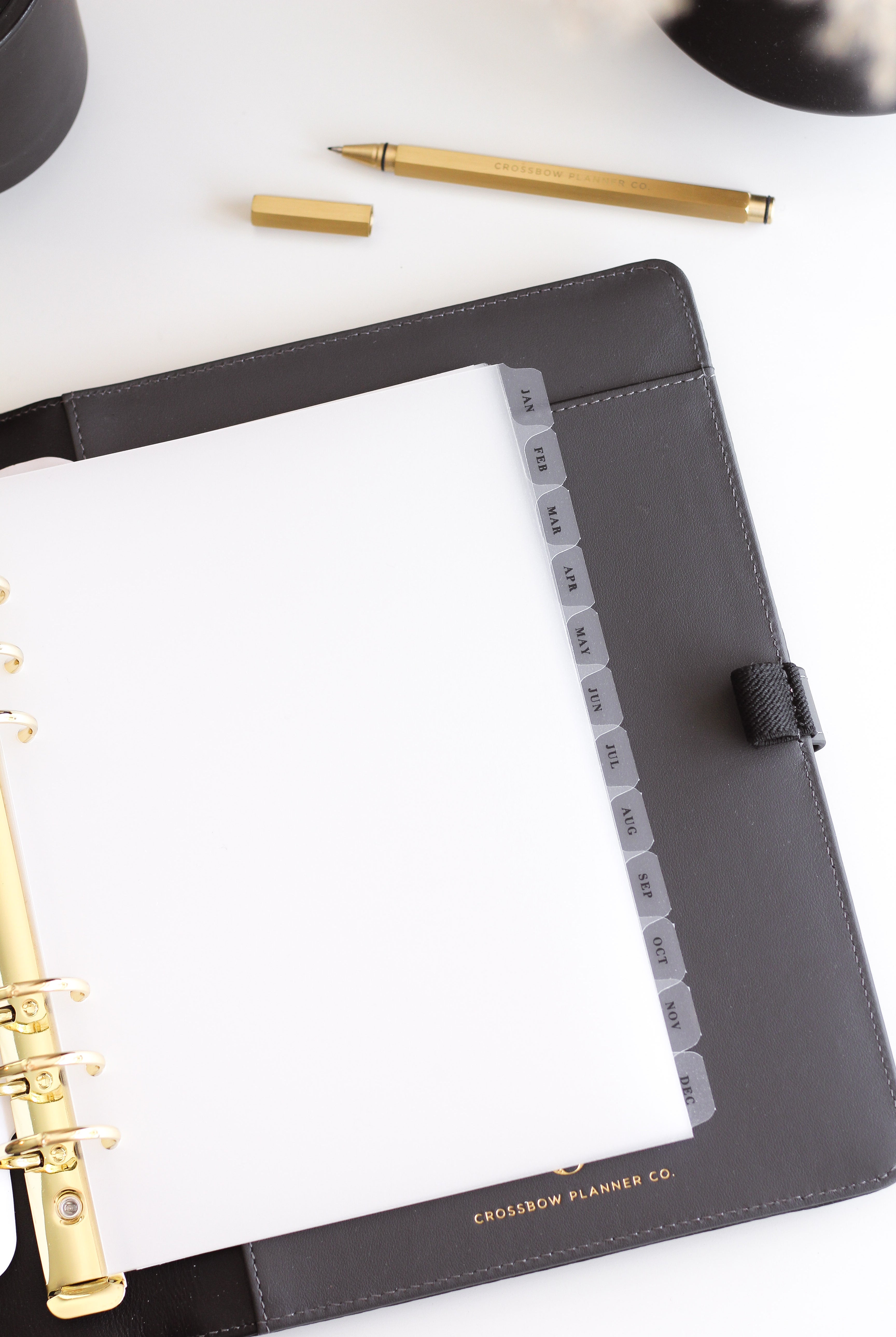 frosted monthly 6 ring dividers