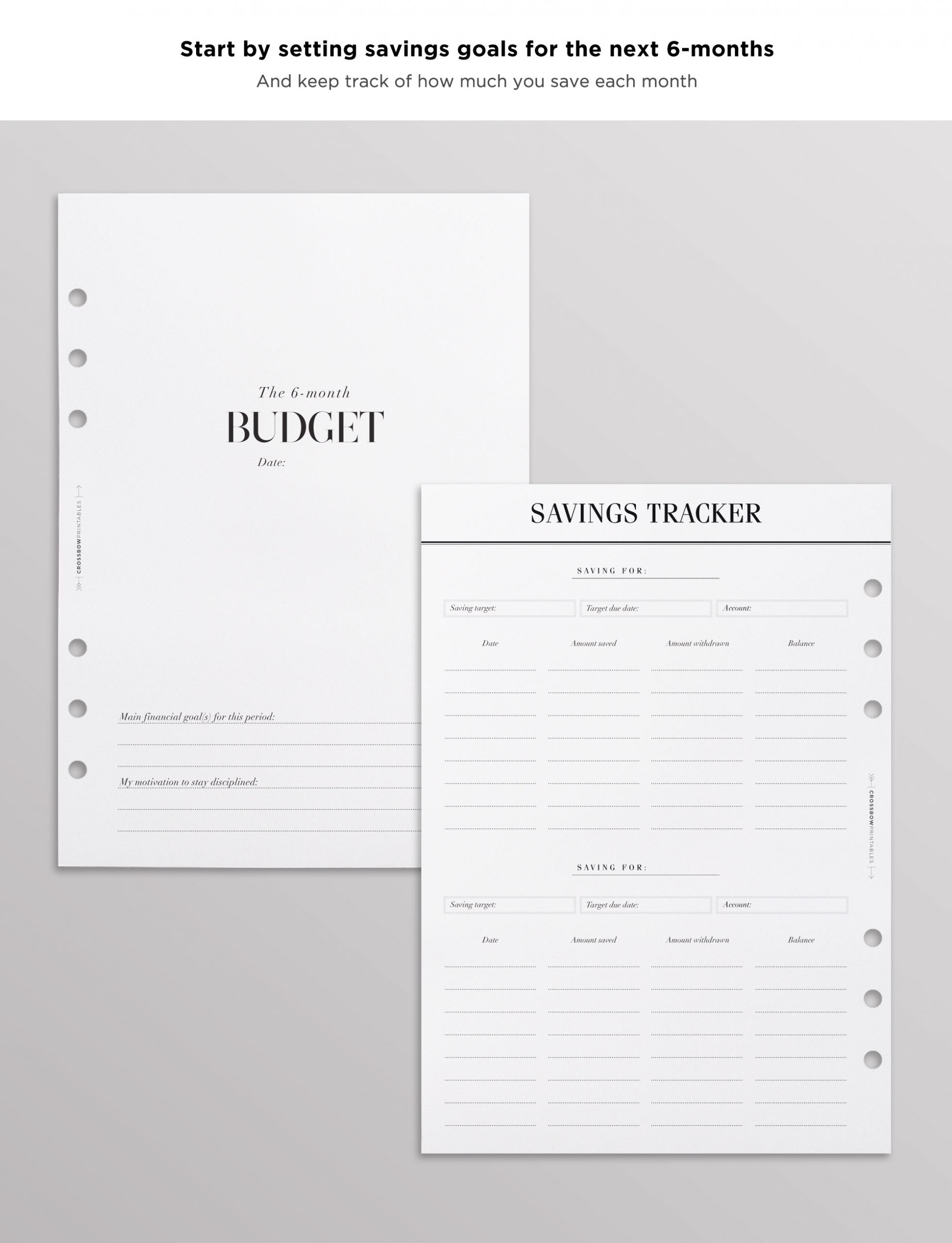 budget planner inserts