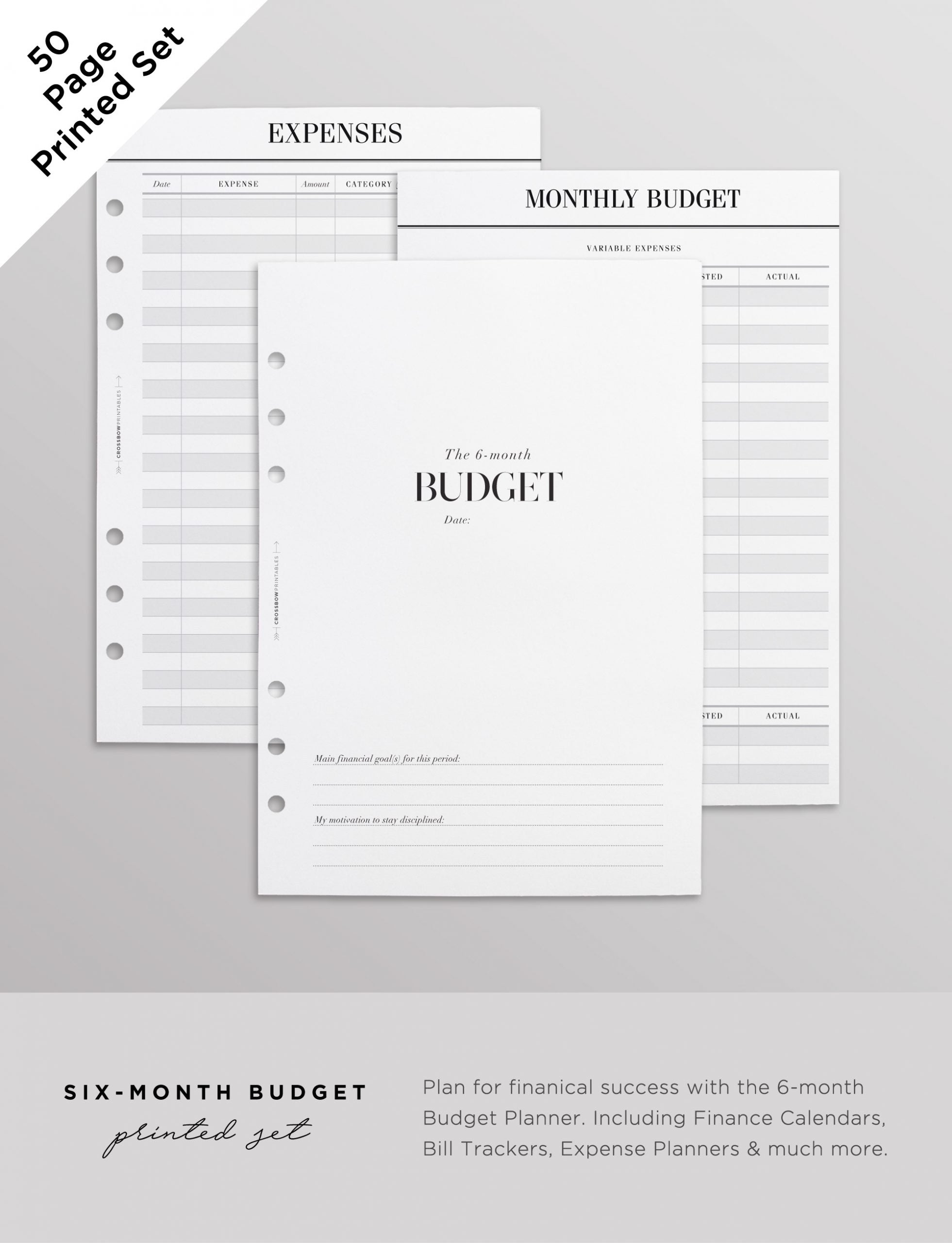 6 month budget planner inserts