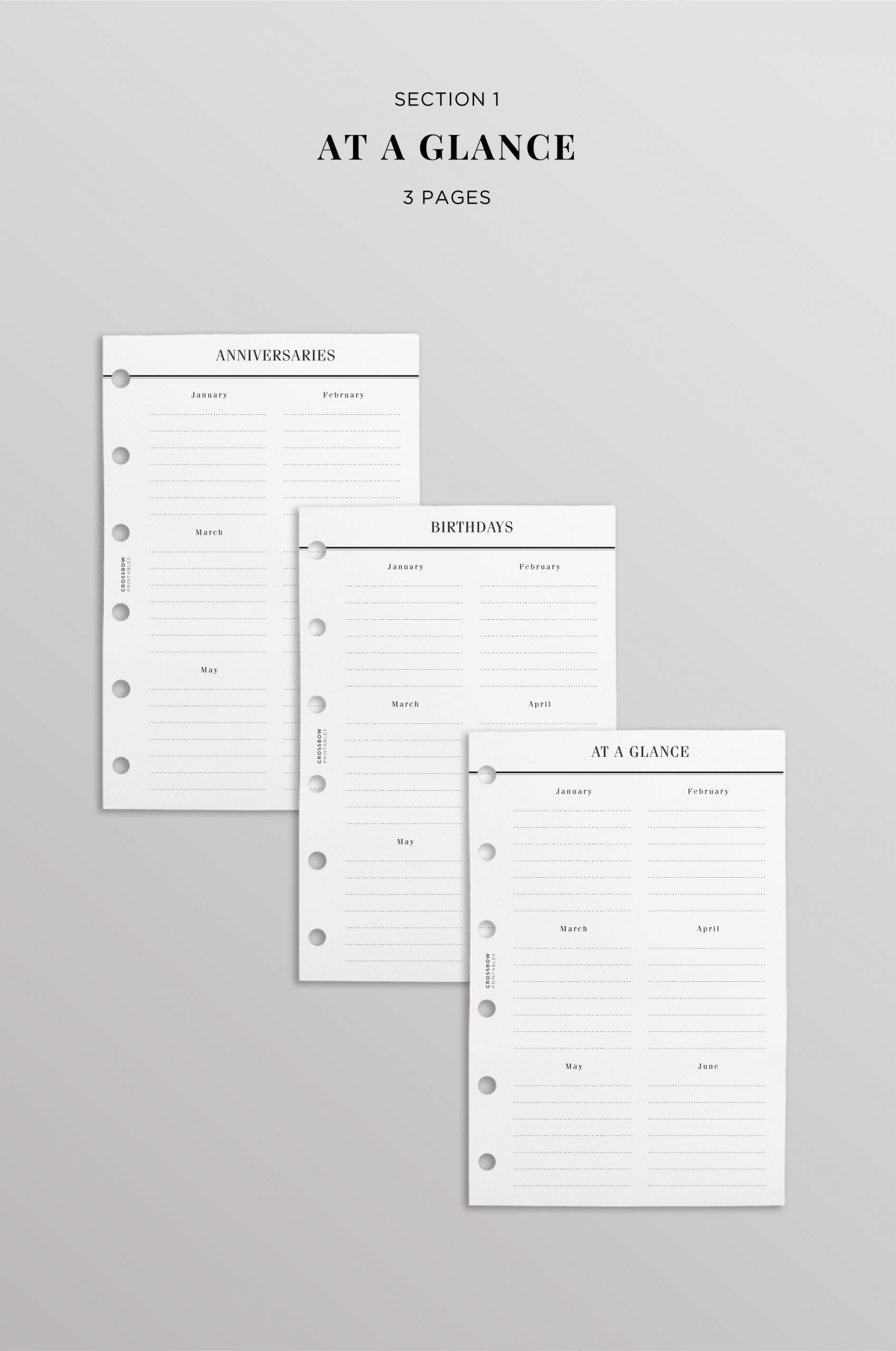 Pocket Planner Setup