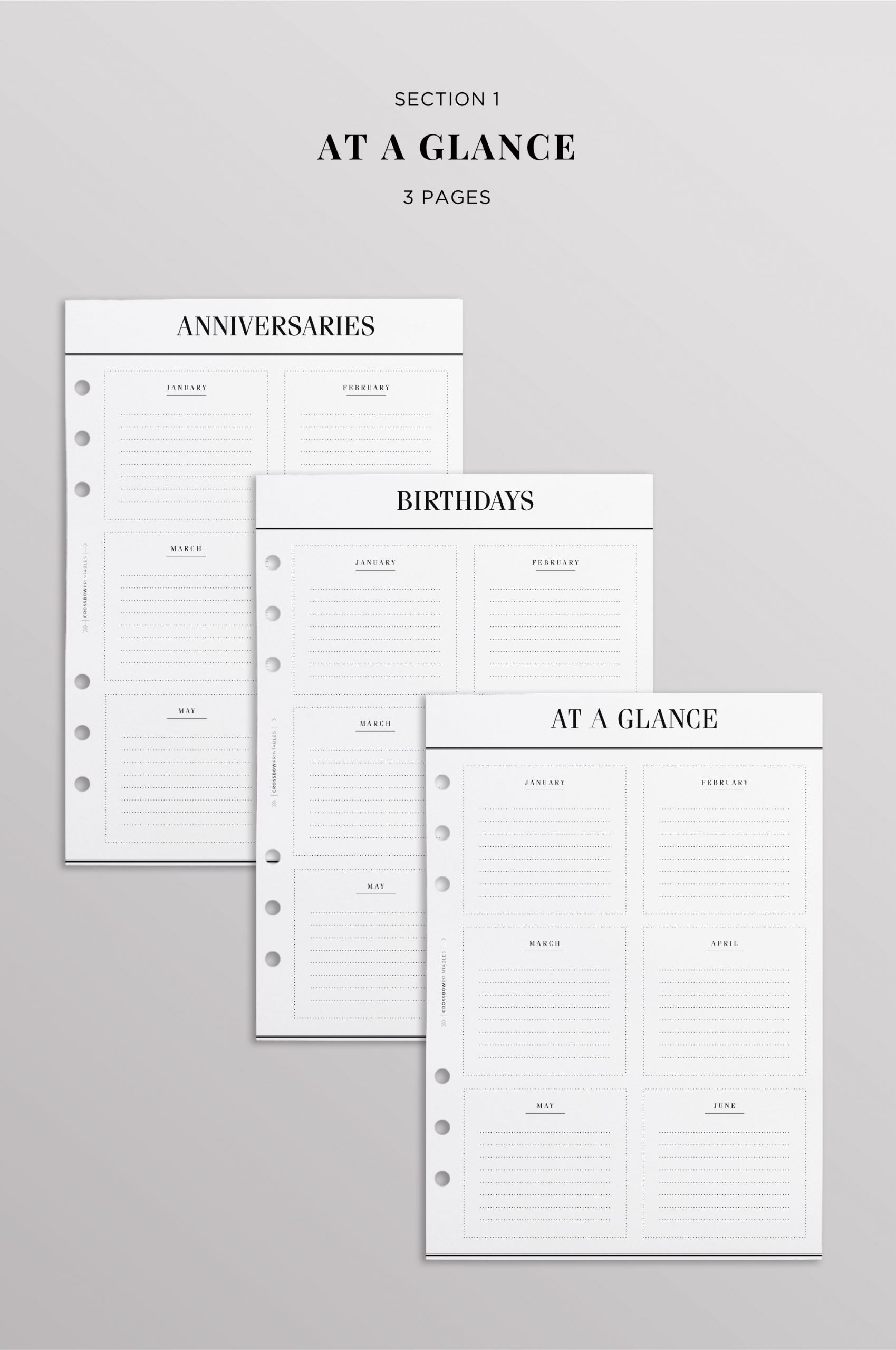 6-Ring Planner Inserts set
