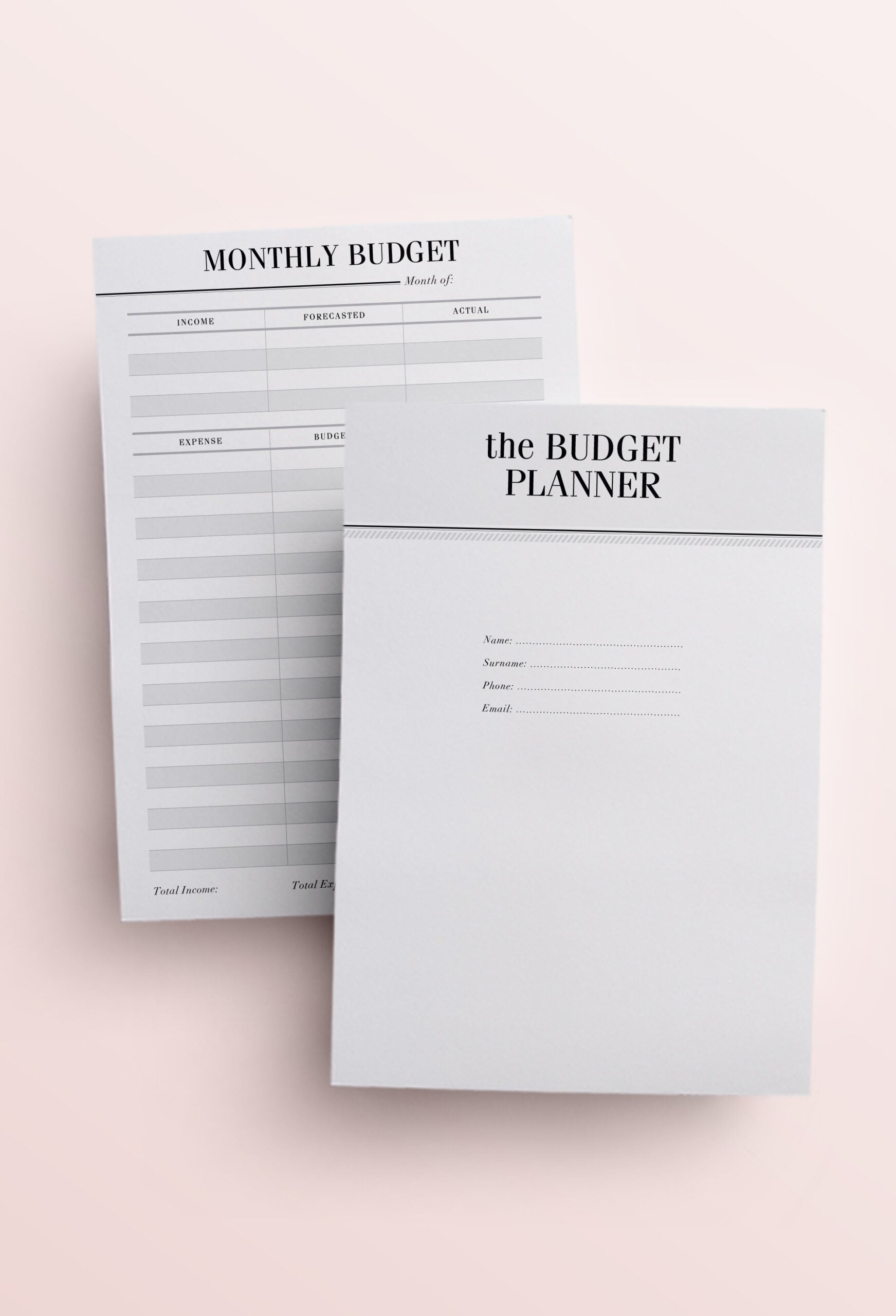 2024 Daily Agenda to Print One Day per Page Monthly Planners Expenses  Printable PDF Files Digital VERY COMPLETE 