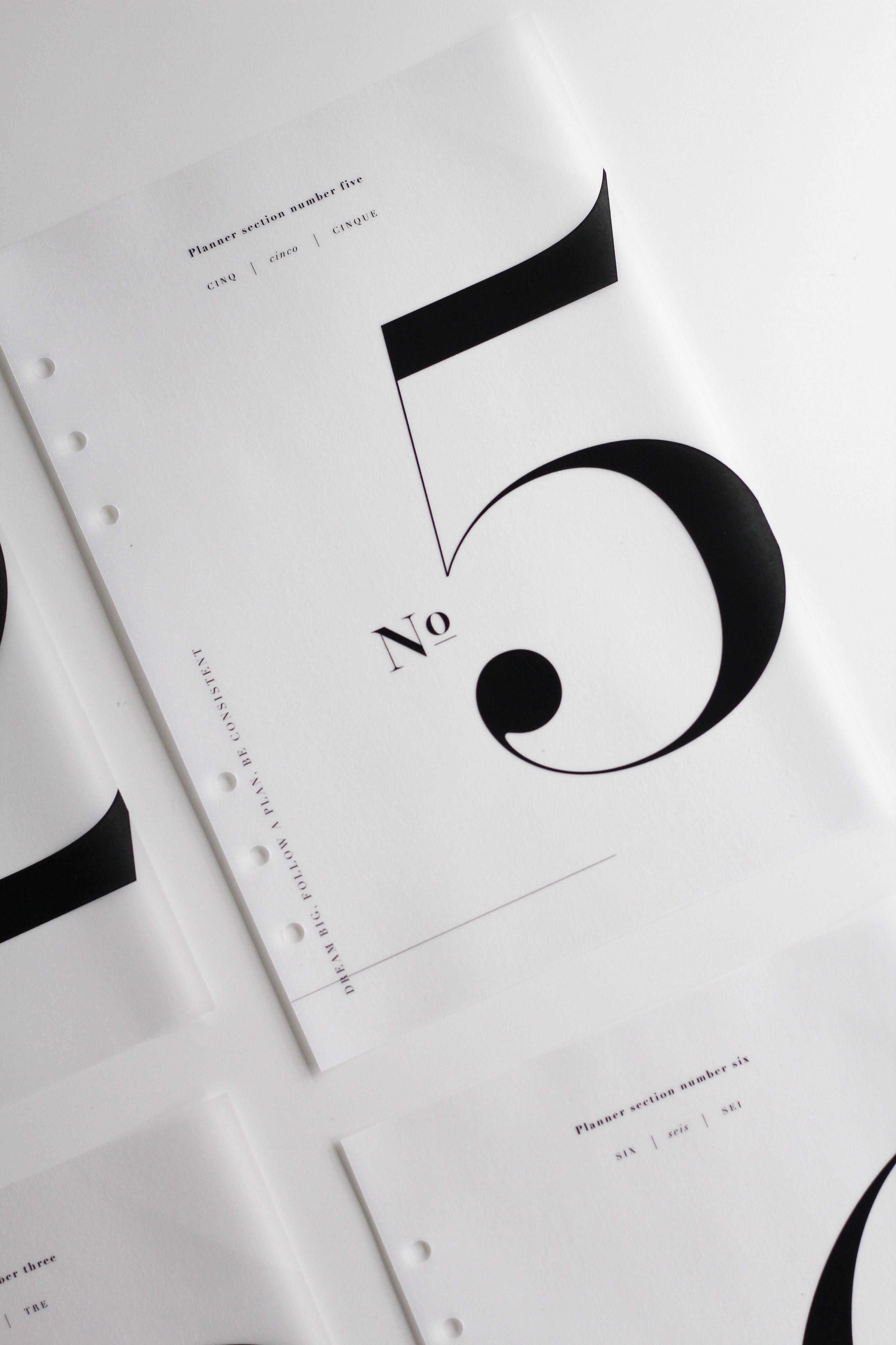 aesthetic planner inserts